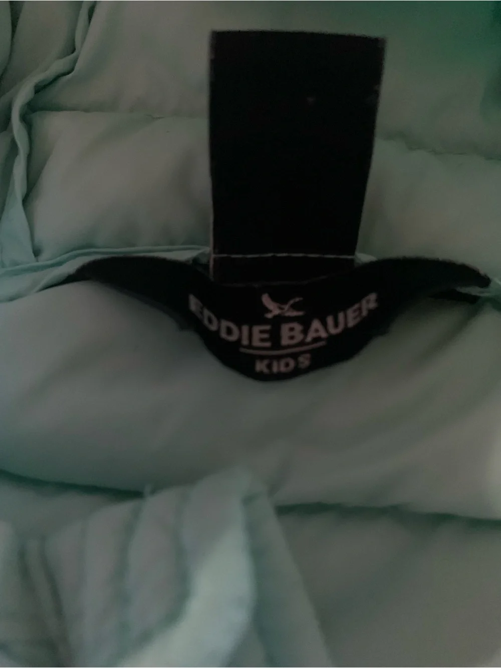 Girls Eddie Bauer CirrusLite hooded puffer